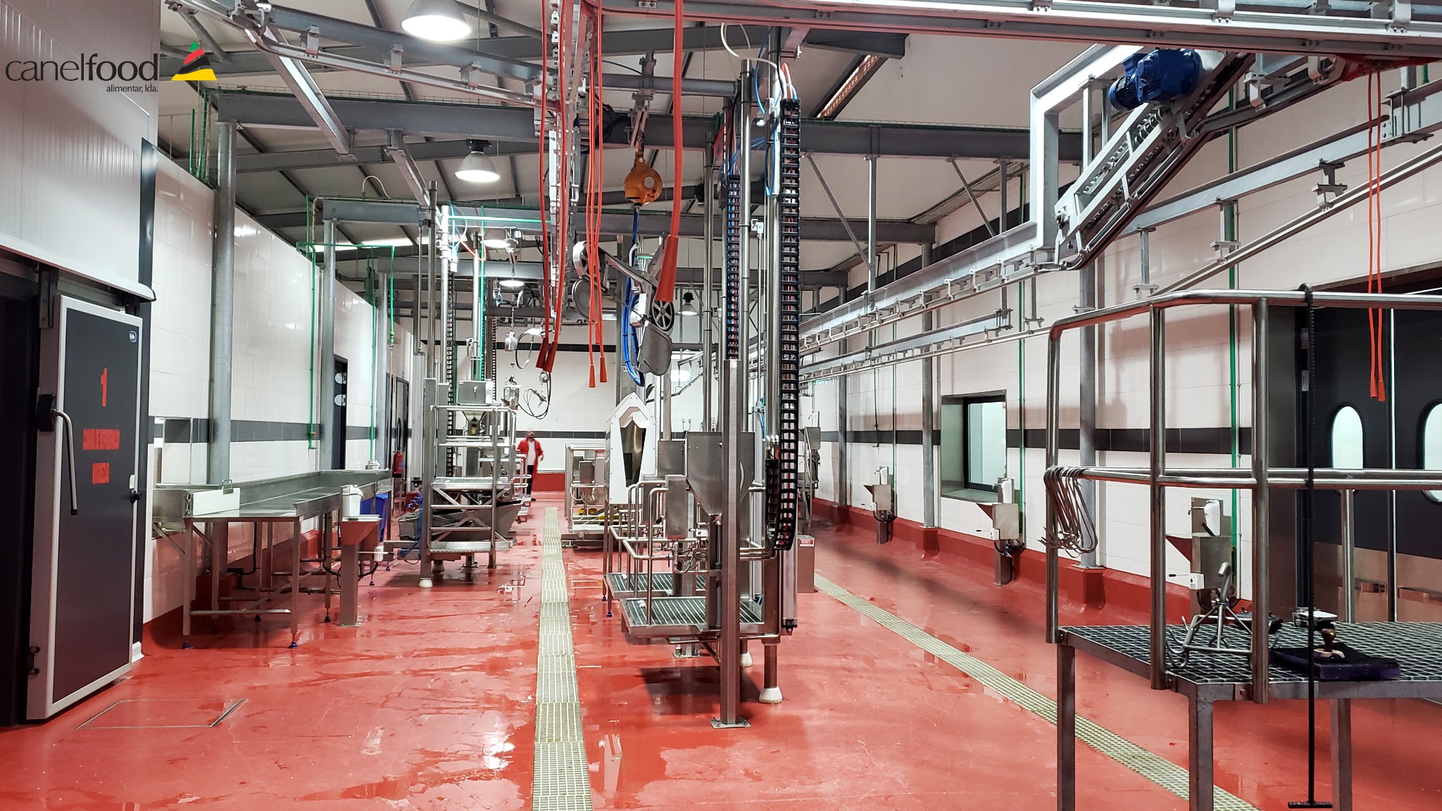 Equipamento da linha industrial de abate e processamento Canelfood